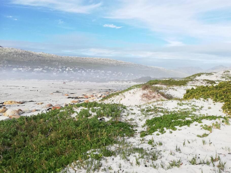 Serene Hide-Away With Ocean Views. Cape Town Ngoại thất bức ảnh